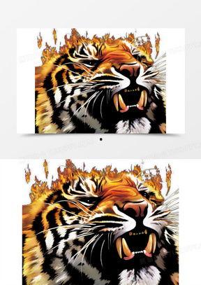 真老虎牙图片大全,揭秘自然界中的利齿王者