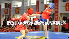 女生散打视频,力与美的完美融合