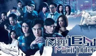 心理追凶 在线 国语,揭秘罪案背后的心理迷宫