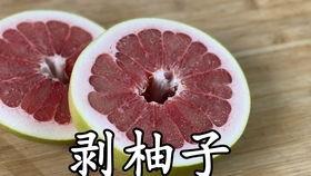 柚子视频,探索短视频新潮流，引领潮流风向标