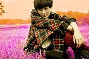 曾轶可床戏,揭秘娱乐圈的隐秘角落