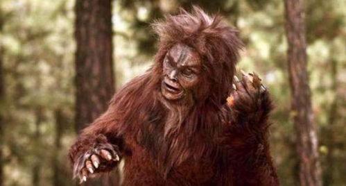 野人图片大全,探秘野人图片大全中的神秘世界