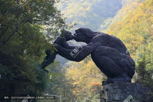 野人图片大全,探秘野人图片大全中的神秘世界