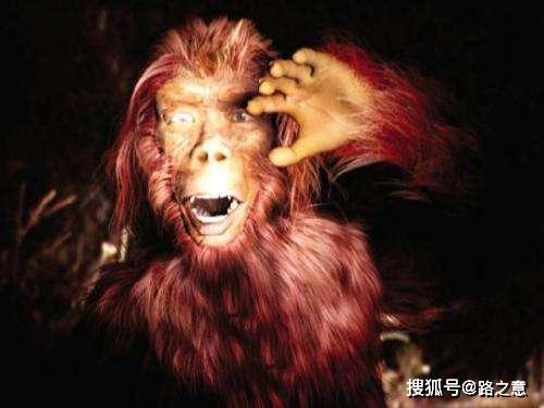 野人图片大全,探秘野人图片大全中的神秘世界