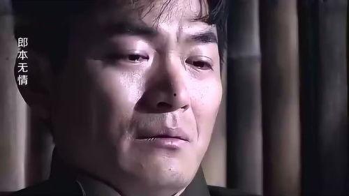 郎本无情在线观看,揭秘神秘爱情故事，在线观看带你领略情感纠葛