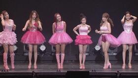 tara 日本,Tara之旅的精彩瞬间