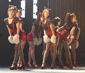 tara 日本,Tara之旅的精彩瞬间