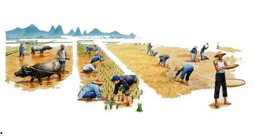 太阳下的农民图片大全,生活画卷中的田野劳动者