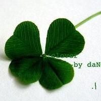 紫色幸运草图片大全,探寻自然之美与幸运传说