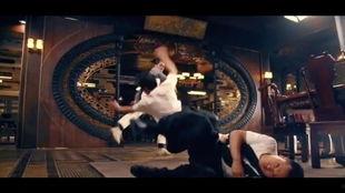 叶问国语高清下载,重温国术宗师传奇