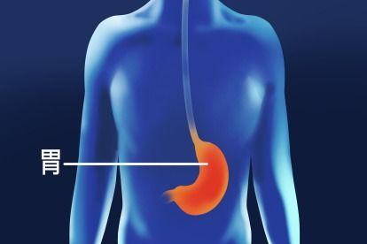 小腹的位置图片,揭秘身体健康的秘密信号