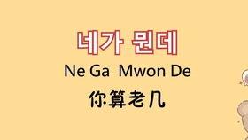 韩国 骂人,揭秘那些辣眼睛的骂人艺术