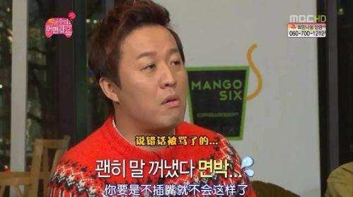 韩国 骂人,揭秘那些辣眼睛的骂人艺术