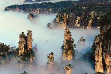 张家界吃瓜爆料新闻,揭秘当地美食背后的故事