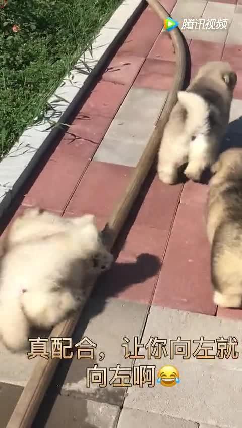 没人理走了图片大全,无人问津的瞬间