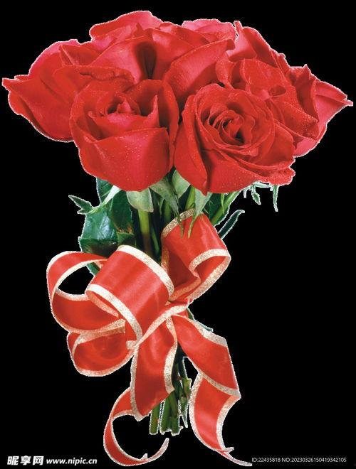 红玫瑰图片大全 浪漫,邂逅爱情的美丽瞬间