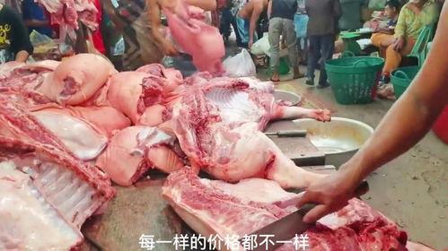 分解猪肉视频,视频带你了解猪肉的内部结构
