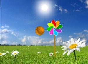 风车 在线观看,在线领略自然与科技的和谐交响