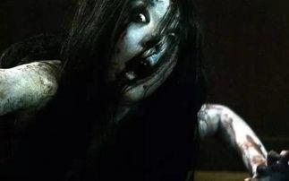 咒怨1美版在线观看,惊悚恐怖，揭秘诅咒之谜