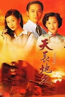 天长地久国语版,跨越时空的永恒爱情之旅