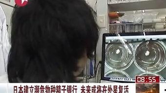 日本取精子图片,高科技与人文关怀并存