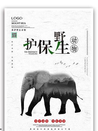 动物保护图片,动物保护行动纪实