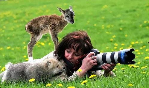 动物保护图片,动物保护行动纪实