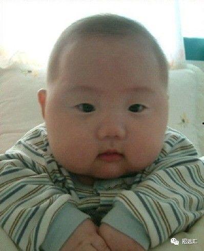 胖婴儿图片大全可爱,盘点那些可爱至极的婴儿萌照