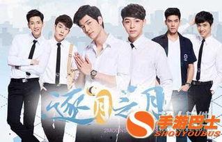 逐月之月全集在线观看,月月精彩，全集在线观看，尽享月色盛宴