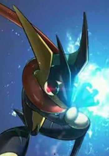 甲贺忍蛙图片,神秘忍者蛙的传奇故事