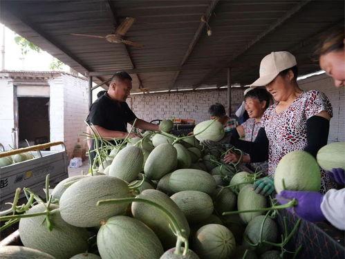 辛集吃瓜爆料平台官网