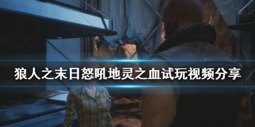 狼人的视频,视频带你领略神秘狼人世界