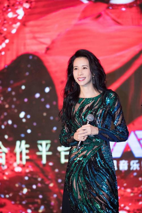 透视 国语莫文蔚,华语乐坛的透视之旅