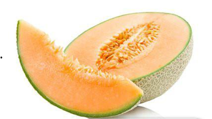 五黑犬可以吃哈密瓜吗,宠物饮食的适宜选择