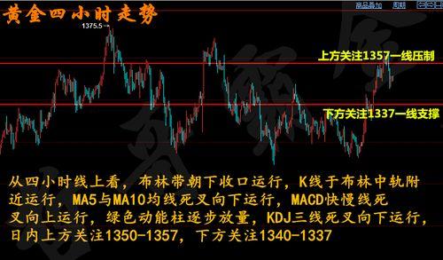 瓠瓜今日行情走势分析,今日走势深度剖析