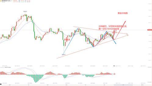 瓠瓜今日行情走势分析,今日走势深度剖析