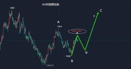 瓠瓜今日行情走势分析,今日走势深度剖析