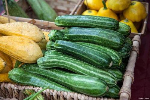 寿光今日蔬菜价格佛手瓜,佛手瓜价格走俏，今日行情一览