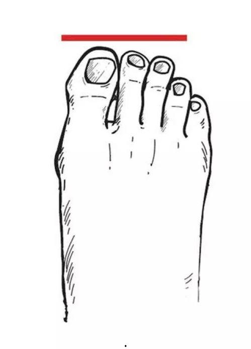 好看的脚型图片大全,探寻脚型图片大全中的优雅与独特