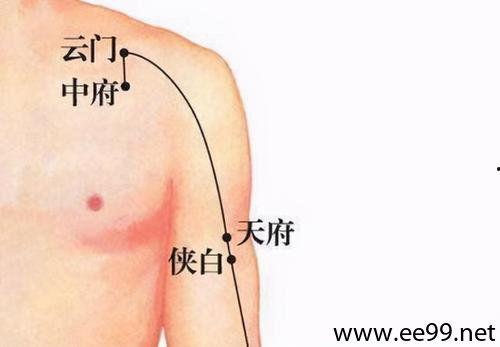 髀关的准确位置图片
