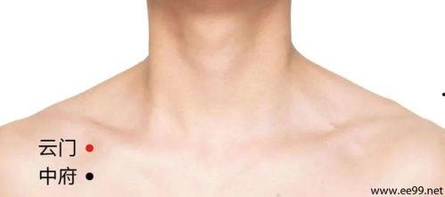 髀关的准确位置图片