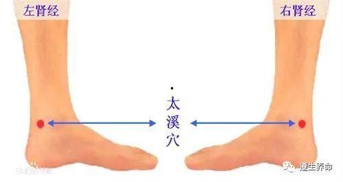 髀关的准确位置图片