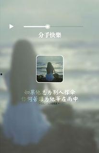 偏爱图片,揭秘图片背后的故事