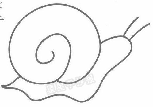 蜗牛种类大全图片,千姿百态的爬行动物世界掠影