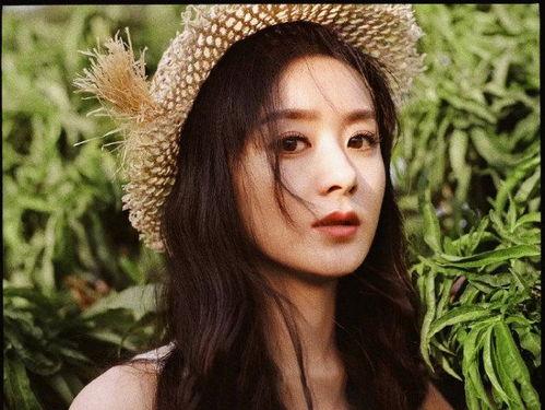 赵丽颖被草的图片大全