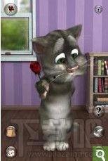 汤姆 视频,揭秘日常生活小技巧，轻松提升生活品质