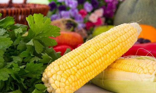 今日瓜州玉米价,今日行情一览