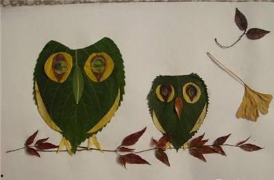 树叶粘贴画图片大全,自然之美与创意融合的艺术展现