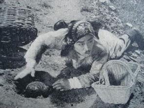 老电影地雷战在线观看