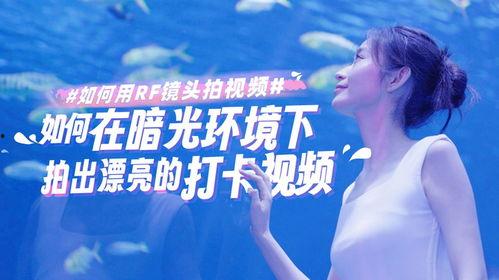 怎样拍视频好看,视频拍摄技巧全解析